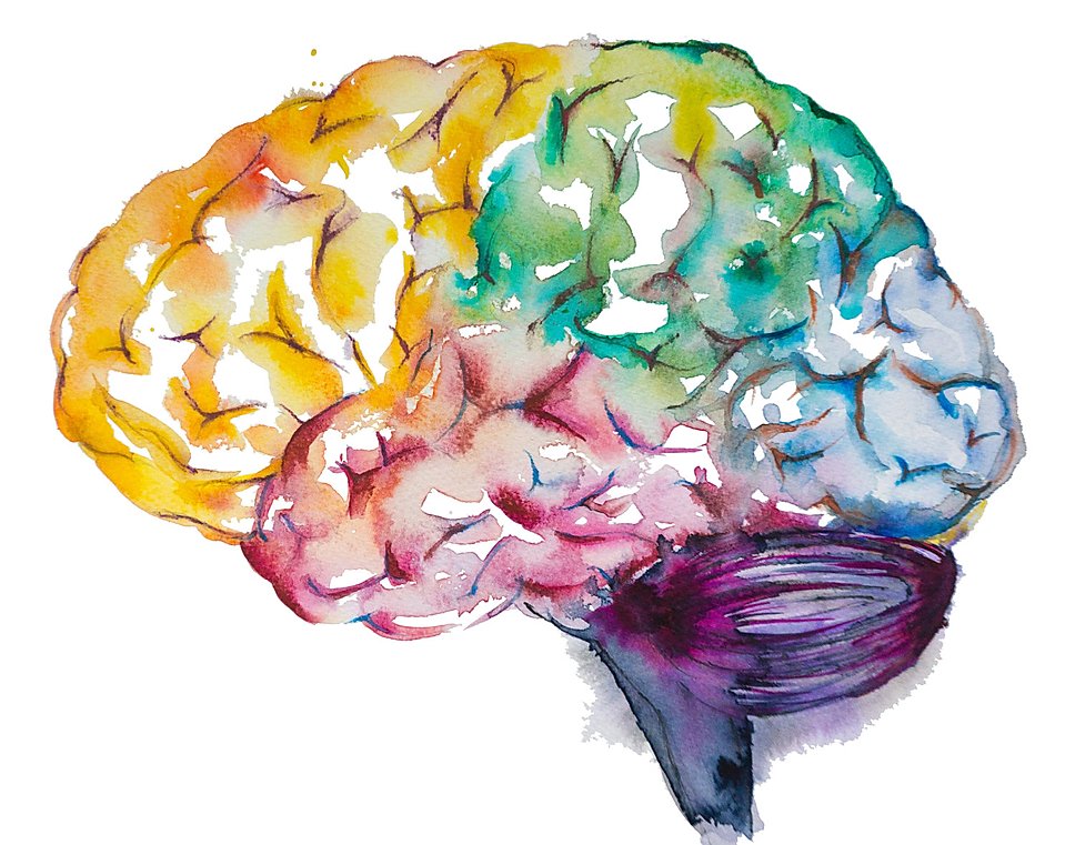 Can art affect the brain?